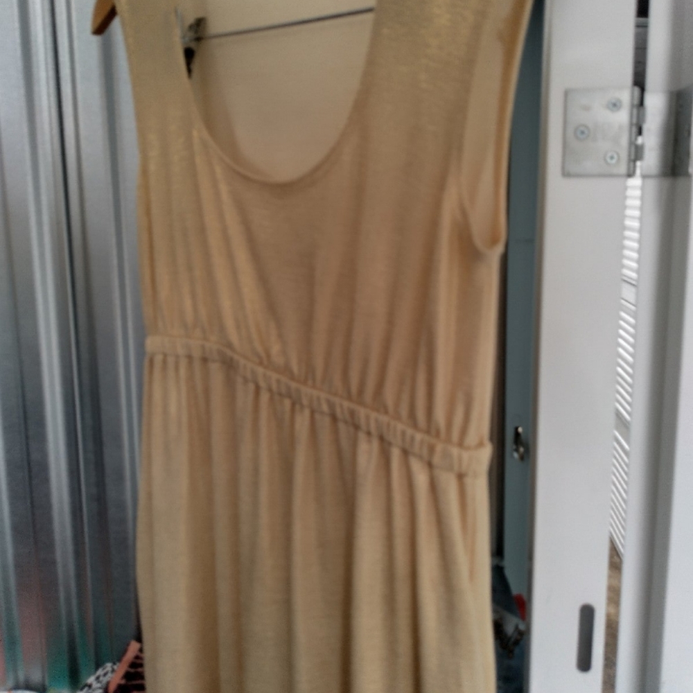 Fighting Eel Dress